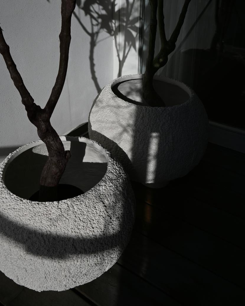 Vaso - Urchin